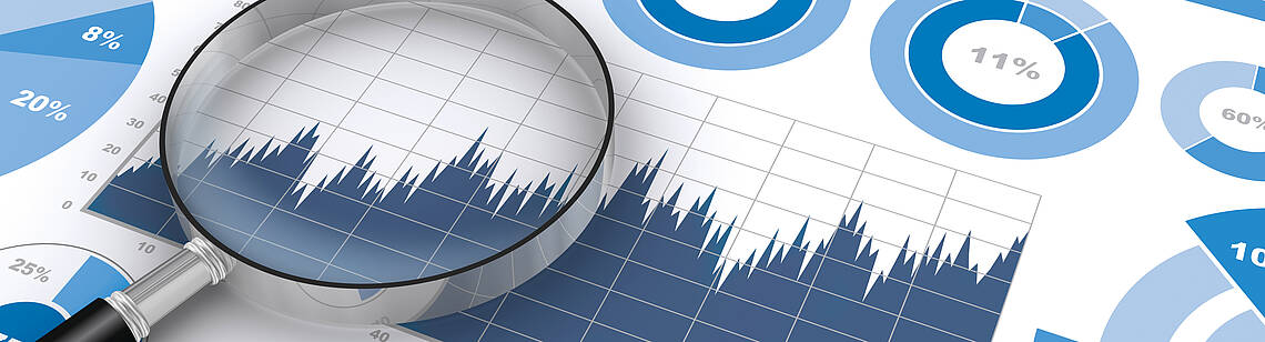 Gehaltsindizes - Jahresbetrachtung Lupe auf einem Blatt mit verschiedenen Diagrammtypen