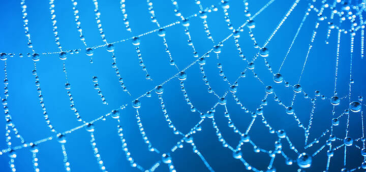 Gut vernetzt Spinnennetz mit Tau auf blauem Hintergrund