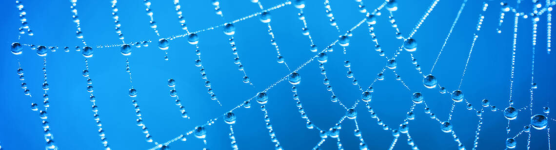 Gut vernetzt Spinnennetz mit Tau auf blauem Hintergrund